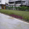 image017