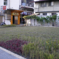image025