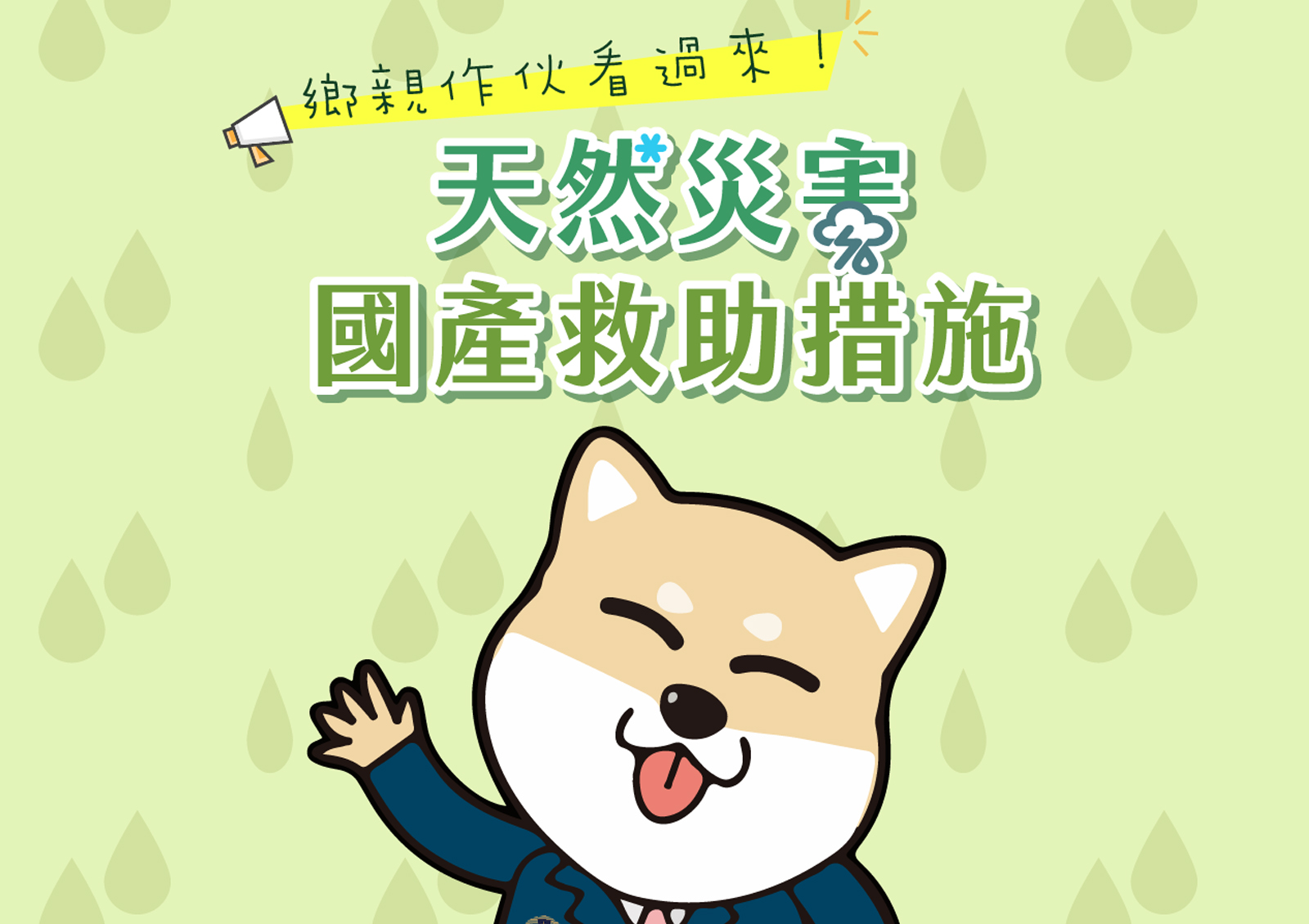 天然災害國產救助措施
