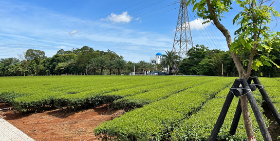 公產檢核啄木鳥，解決問題會更好