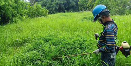 登革熱防疫大作戰 - 清除病媒孳生源 環境整潔民心安